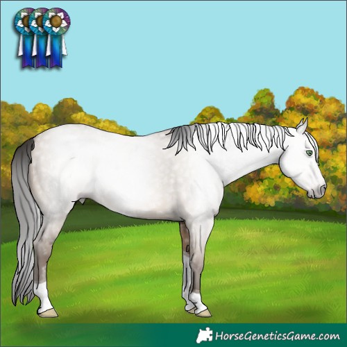 Horse Color:Gray Sable Champagne Dun Tobiano 