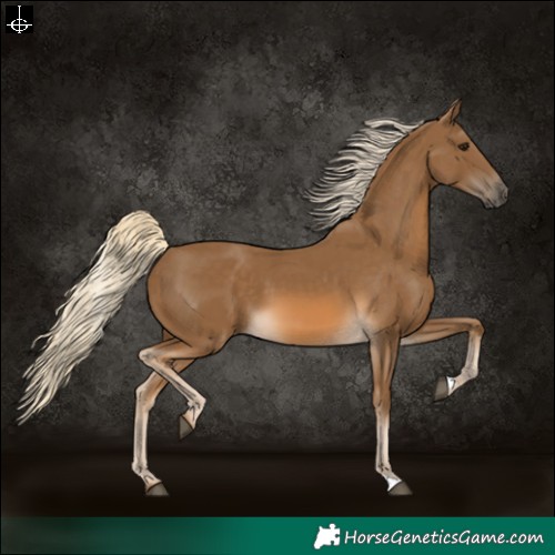 Horse Color:Chocolate Palomino 
