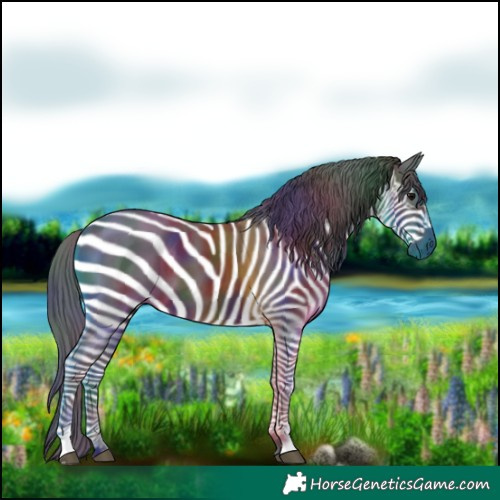 Horse Color:Nacre Brown 