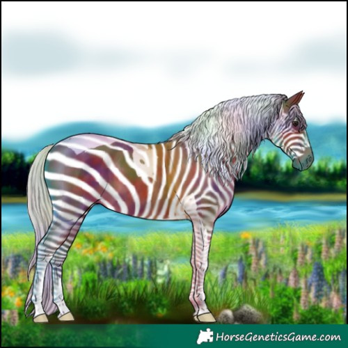 Horse Color:Nacre Silver Brown Tobiano