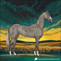 Horse Color:Grullo and Silver Grullo