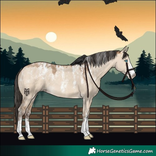 Horse Color:Powder White Amber Champagne Dun 