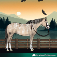 Horse Color:Powder White Amber Champagne Dun 