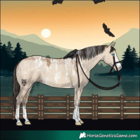 Horse Color:Powder White Amber Champagne Dun 