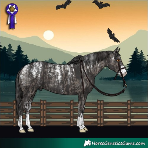 Horse Color:Powder White Grullo  and Powder White Smoky Black 