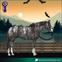 Horse Color:Powder White Grullo  and Powder White Smoky Black 