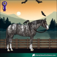 Horse Color:Powder White Grullo  and Powder White Smoky Black 