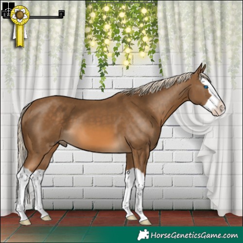 Horse Color:Chocolate Palomino Splash 