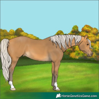 Horse Color:Silver Buckskin 