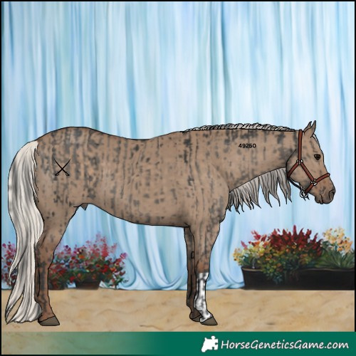 Horse Color:Grullo Brindle  and Silver Grullo 