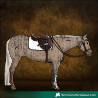Horse Color:Grullo Brindle  and Silver Grullo 