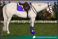 Horse Color:Smoky Creme 