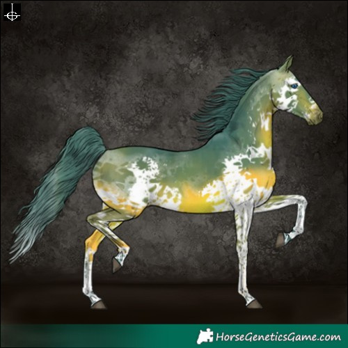 Horse Color:Watercolor Brown Splash Tobiano 