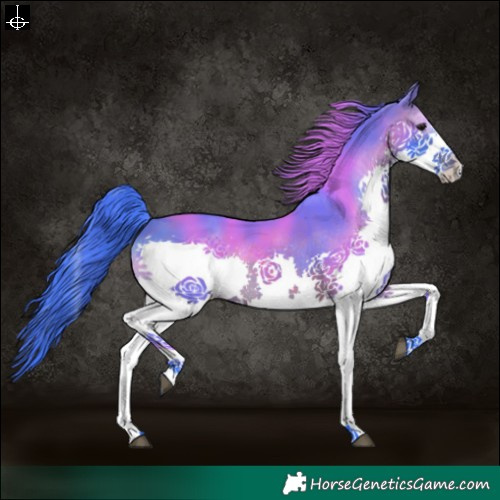 Horse Color:Watercolor White Spotted Brown Splash Tobiano 