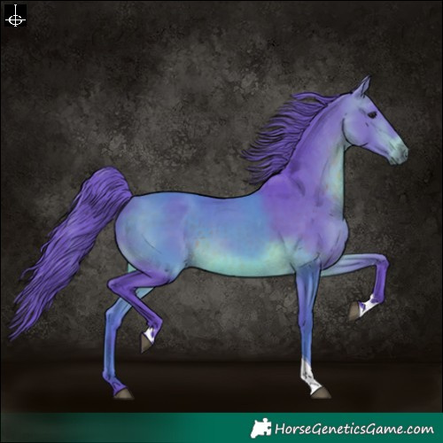Horse Color:Watercolor White Spotted Brown Tobiano 