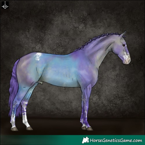 Horse Color:Watercolor White Spotted Bay Dun Appaloosa 