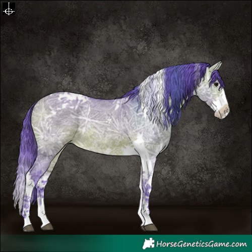 Horse Color:Watercolor Bay Ice Dun Sabino Splash Tobiano Rabicano 