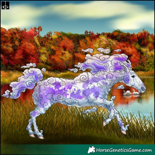 Horse Color:Watercolor White Spotted Black Splash 