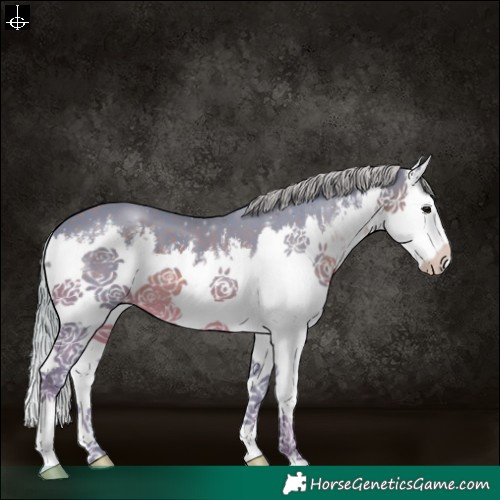 Horse Color:Watercolor White Spotted Silver Smoky Black Splash 