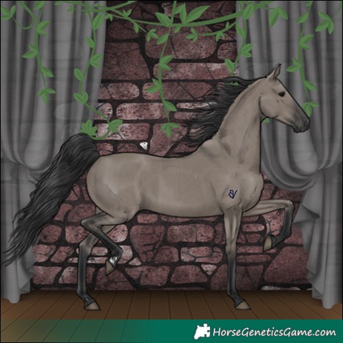 Horse Color:Grullo  and Grullo 