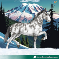 Horse Color:Grullo Sabino Rabicano