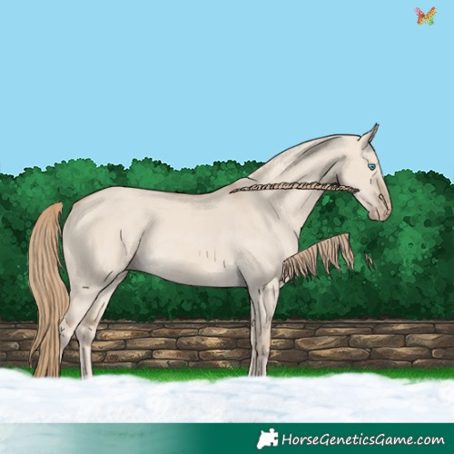 Horse Color:Smoky Creme Dun