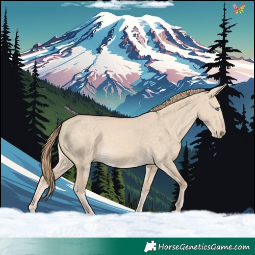 Horse Color:Perlino Dun 