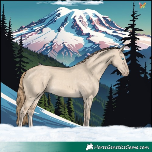 Horse Color:Perlino Dun