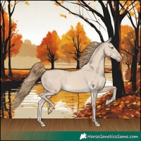 Horse Color:Smoky Creme Dun 