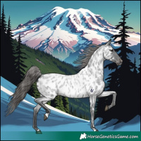Horse Color:Blue Roan Near Leopard 