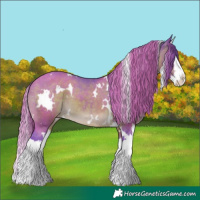 Horse Color:Watercolor White Spotted Brown Splash Varnish 