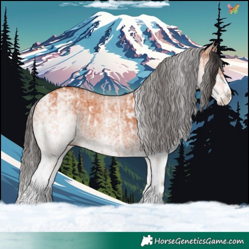 Horse Color:White Spotted Bay Splash and White Spotted Bay Splash