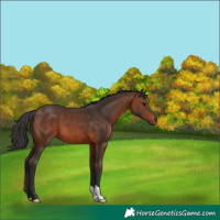 Horse Color:Brown 