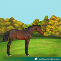 Horse Color:Brown 