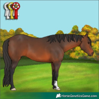 Horse Color:Brown 
