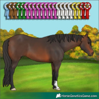 Horse Color:Brown 