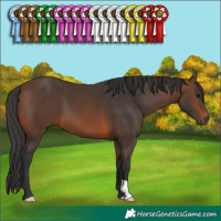 Horse Color:Brown 