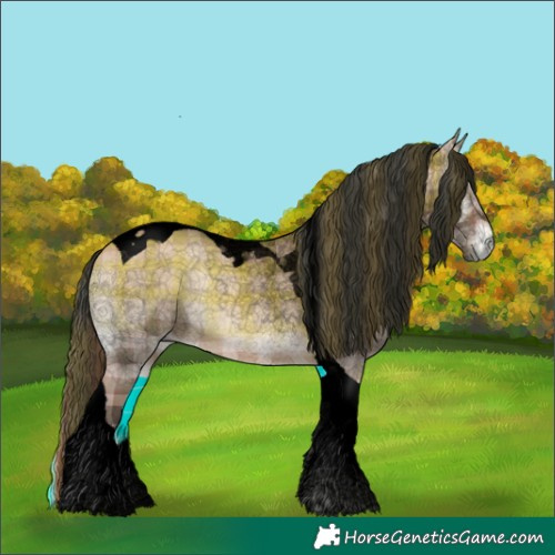 Horse Color:Void Plaid  Bay Onyx Tobiano 