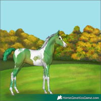 Horse Color:Watercolor Bay Splash Tobiano 