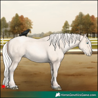 Horse Color:Silver Amber Cream Champagne Pearl