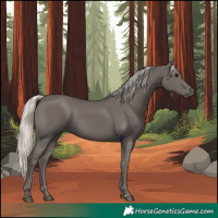 Horse Color:Silver Black 