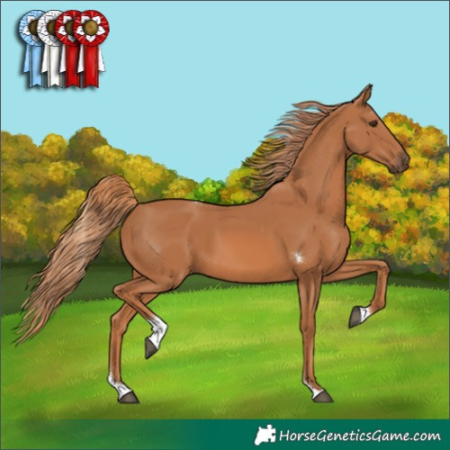 Horse Color:Chestnut Tobiano 