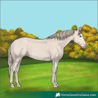 Horse Color:Smoky Creme Splash  and Smoky Creme Splash 