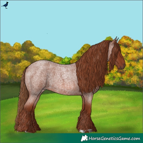 Horse Color:Red Roan 