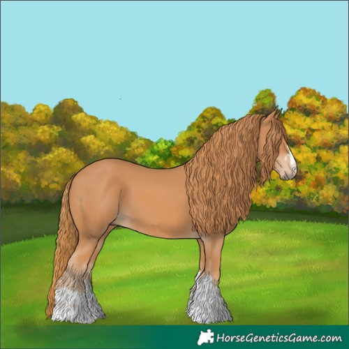 Horse Color:Chestnut 