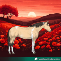 Horse Color:Buckskin Tobiano