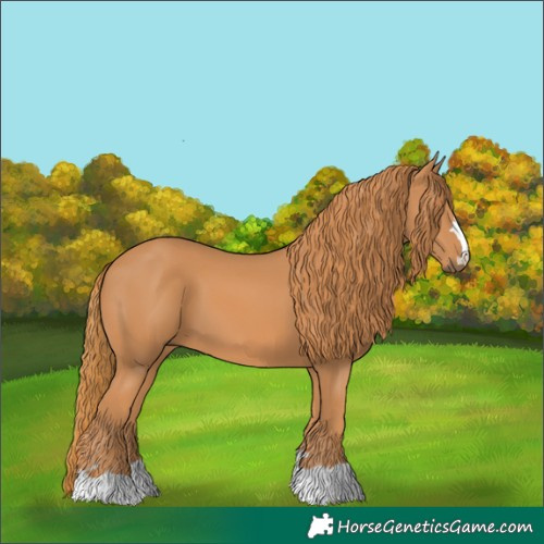 Horse Color:Chestnut 