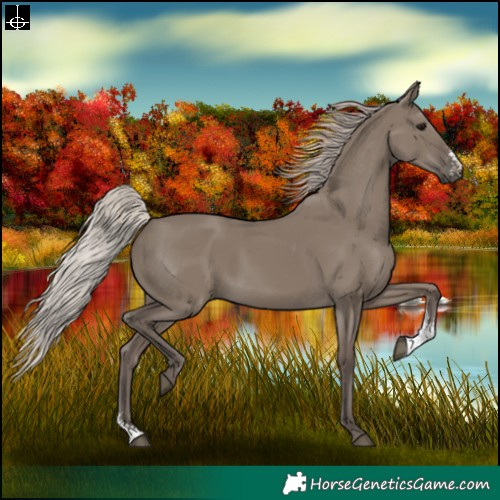 Horse Color:Silver Grullo Sabino 