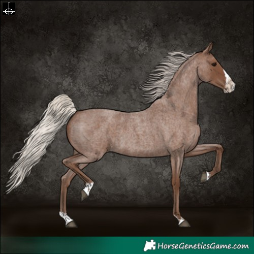 Horse Color:Silver Blue Roan Sabino Splash 