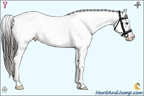 Horse Color:White Spotted Liver Red Roan Varnish 